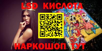 a pvp Камышлов