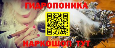 a pvp Камышлов