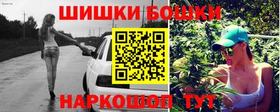 a pvp Камышлов