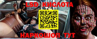 a pvp Камышлов