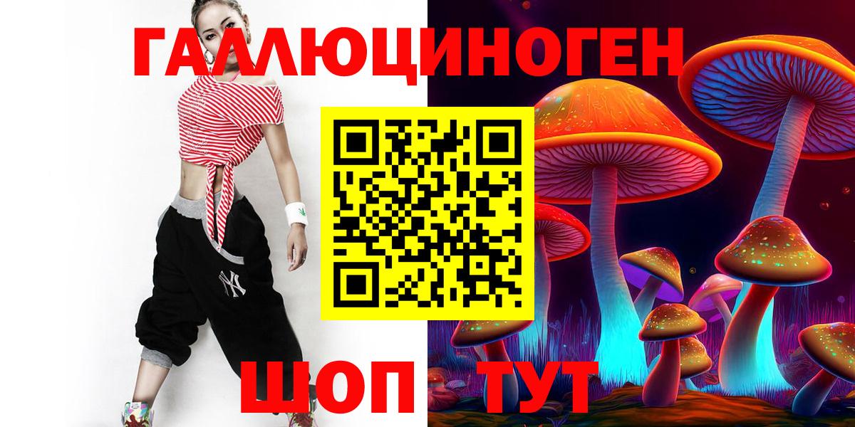 Псилоцибиновые грибы GOLDEN TEACHER Черняховск