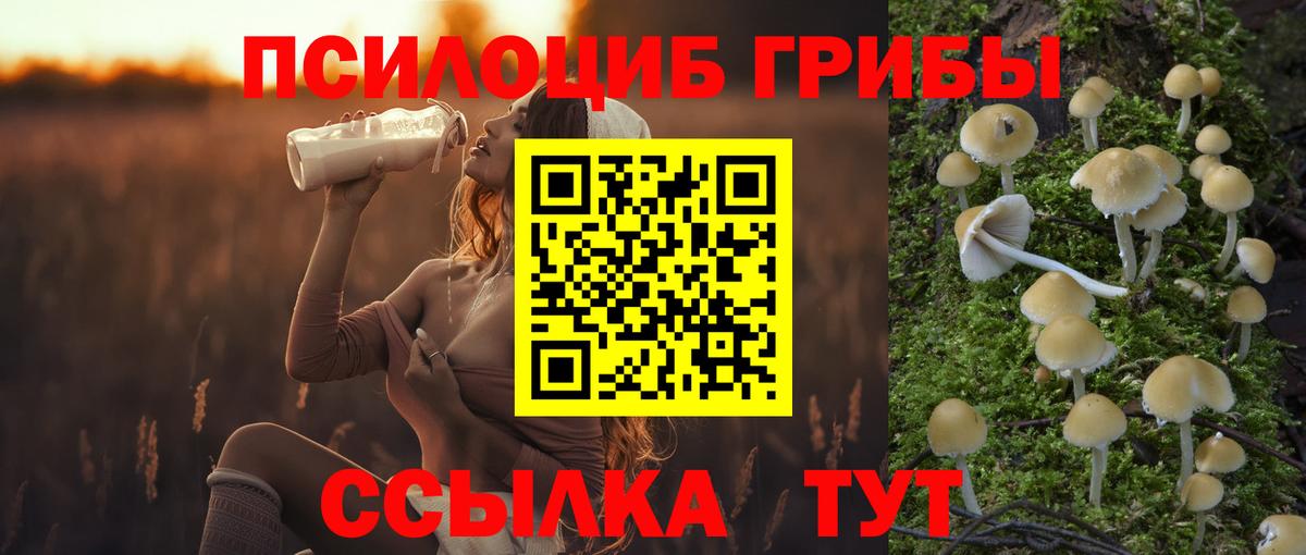 Черняховск  Псилоцибиновые грибы GOLDEN TEACHER  наркотики  Вход с VPN 